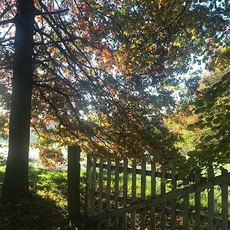 Bed & Breakfast D'hotes La Ferme Du Pre-martin 3*