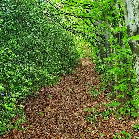 D'hotes La Ferme Du Pre-martin Bed & Breakfast La Genevraie