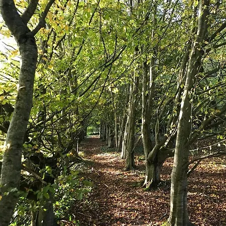 D'hotes La Ferme Du Pre-martin 3*