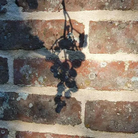 D'hotes La Ferme Du Pre-martin 3*