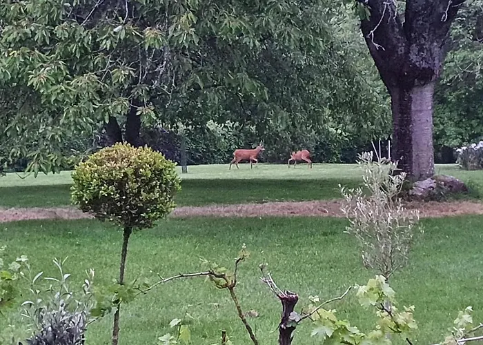Bed & Breakfast D'hotes La Ferme Du Pre-martin