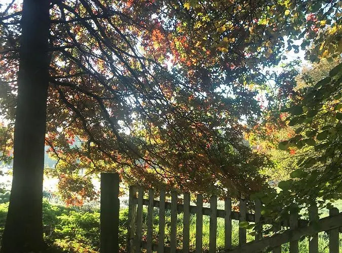 Bed & Breakfast D'hotes La Ferme Du Pre-martin 3*