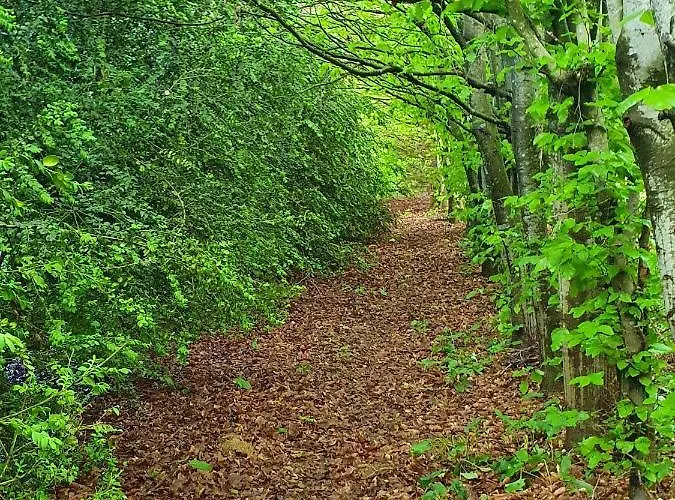 D'hotes La Ferme Du Pre-martin Bed & Breakfast La Genevraie
