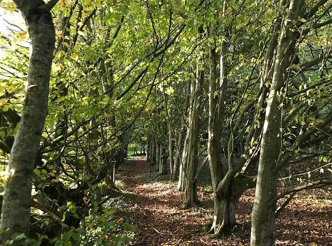 D'hotes La Ferme Du Pre-martin 3*