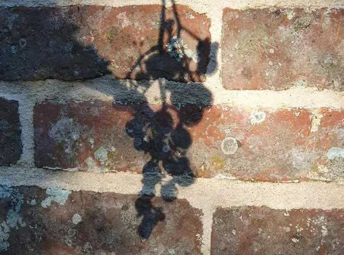 D'hotes La Ferme Du Pre-martin 3*