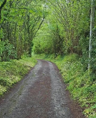 Bed & Breakfast D'hotes La Ferme Du Pre-martin La Genevraie