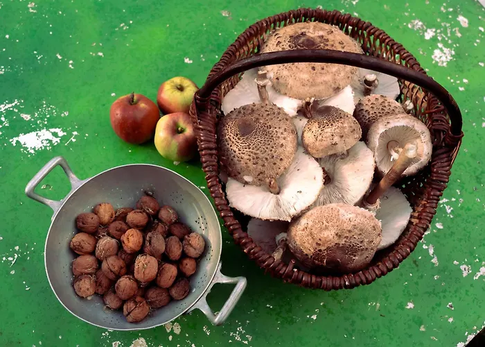 D'hotes La Ferme Du Pre-martin